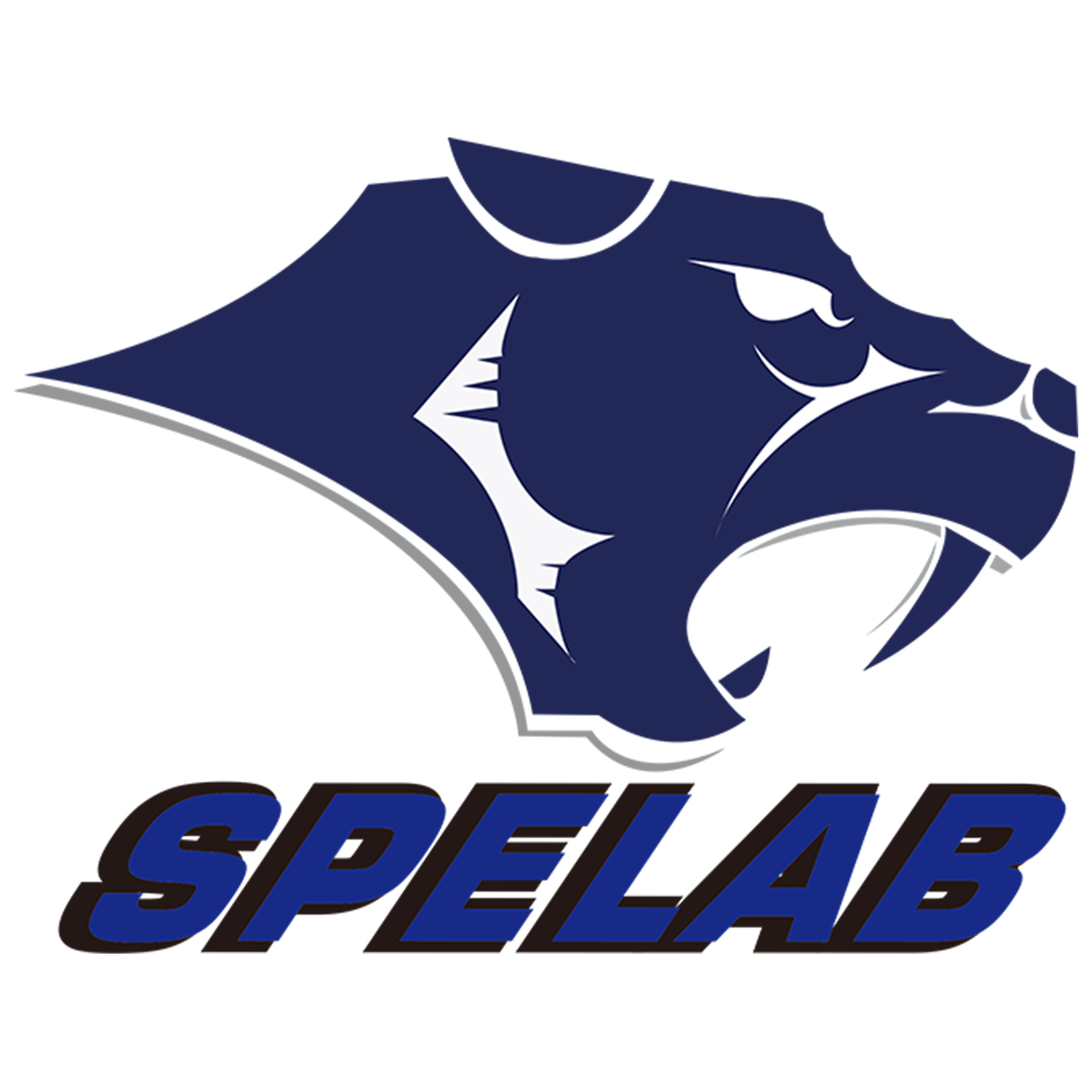SPELAB Is the Ultimate Choice for Car Enthusiasts